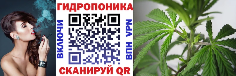 Канабис White Widow  наркошоп  Чухлома 